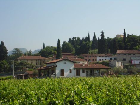 Uitzicht Crosarola wijnhuis