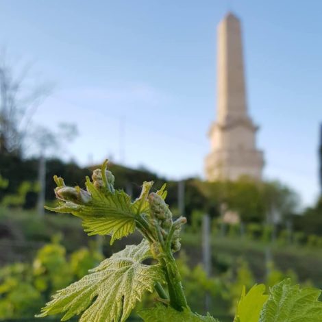 Reis mee.. door Italië naar het Gardameer