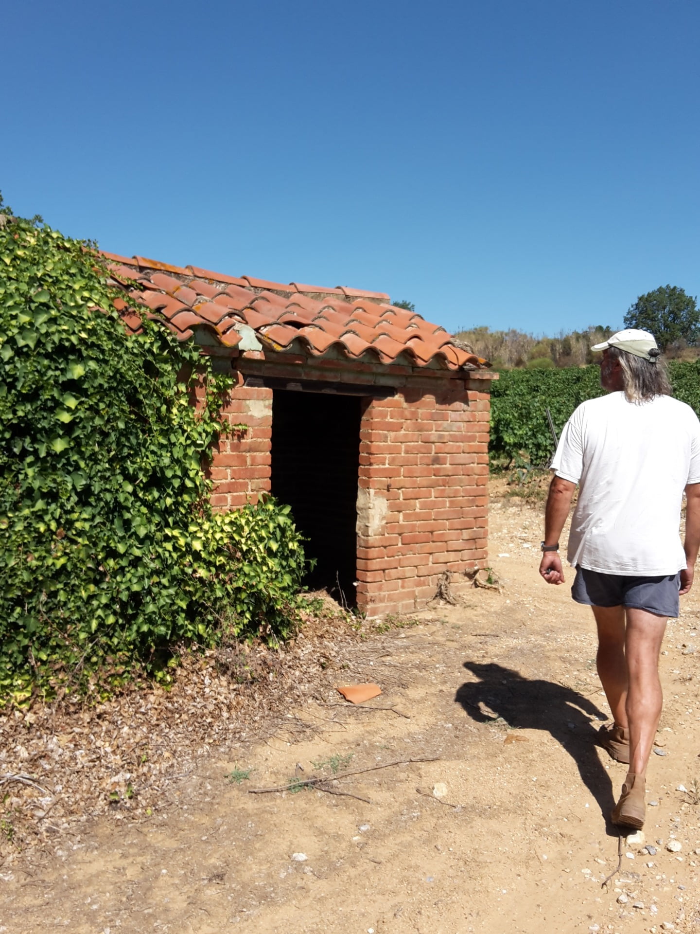 Reis mee door Frankrijk naar de Albères en de Middellandse Zeekust