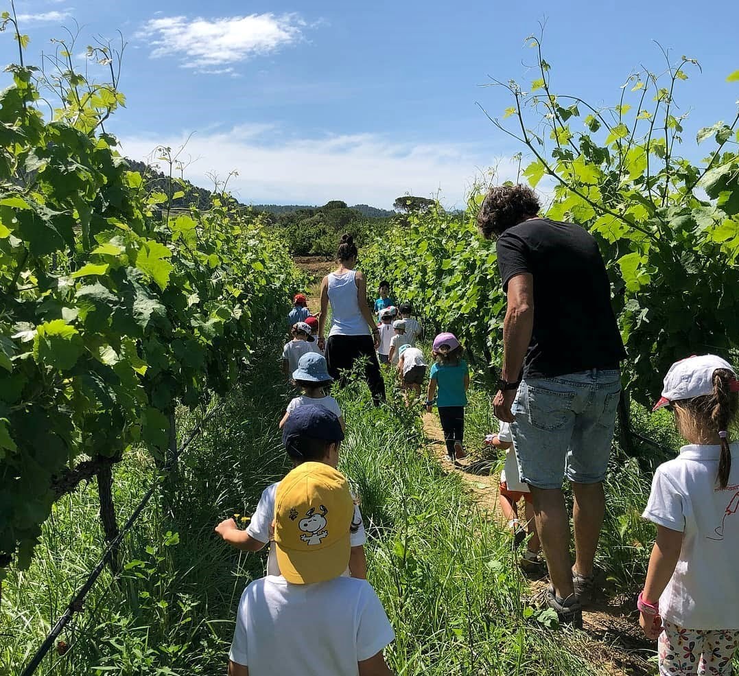 Celler Comunica Celler Comunica