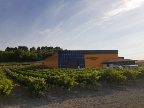 Sinforiano wijnhuis en wijngaard