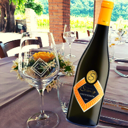 Stanig Sauvignon Blanc sfeer