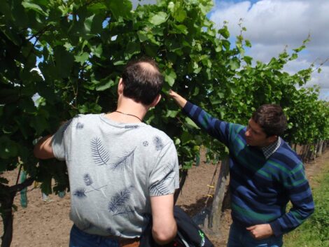 Christoph Brandl Oostenrijk Special Insider Tip Gruner Veltliner Zweigelt Wijndivas Weinviertel Wagram