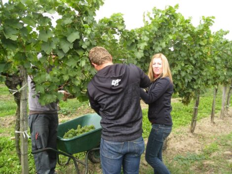 Grüner Veltliner Oostenrijk DAC Reserve houtgerijpt Christoph Brandl Wijndivas