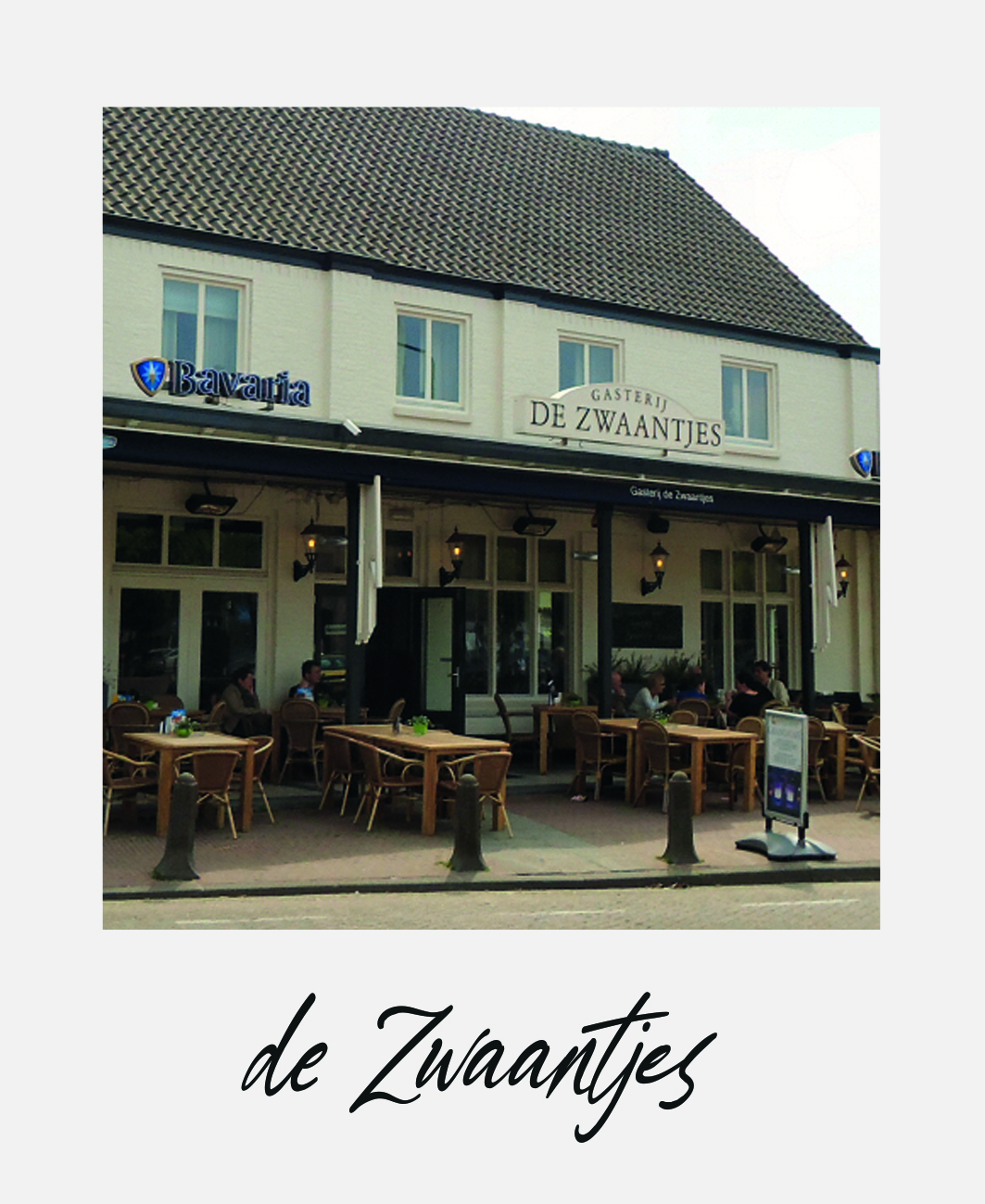 Zwaantjes