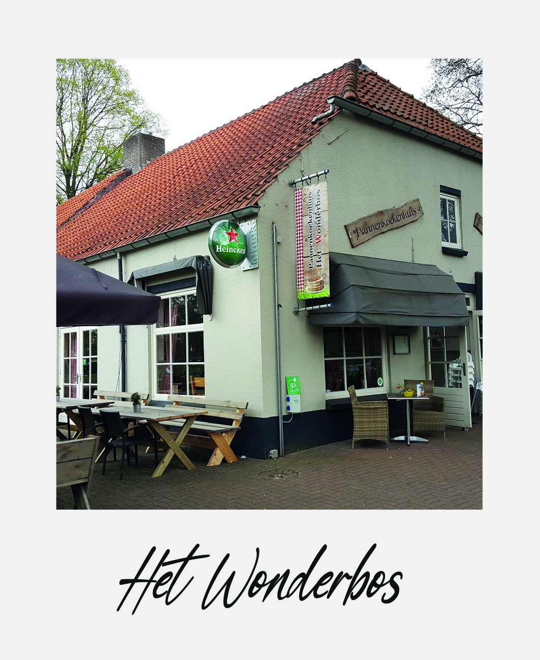 Het Wonderbos