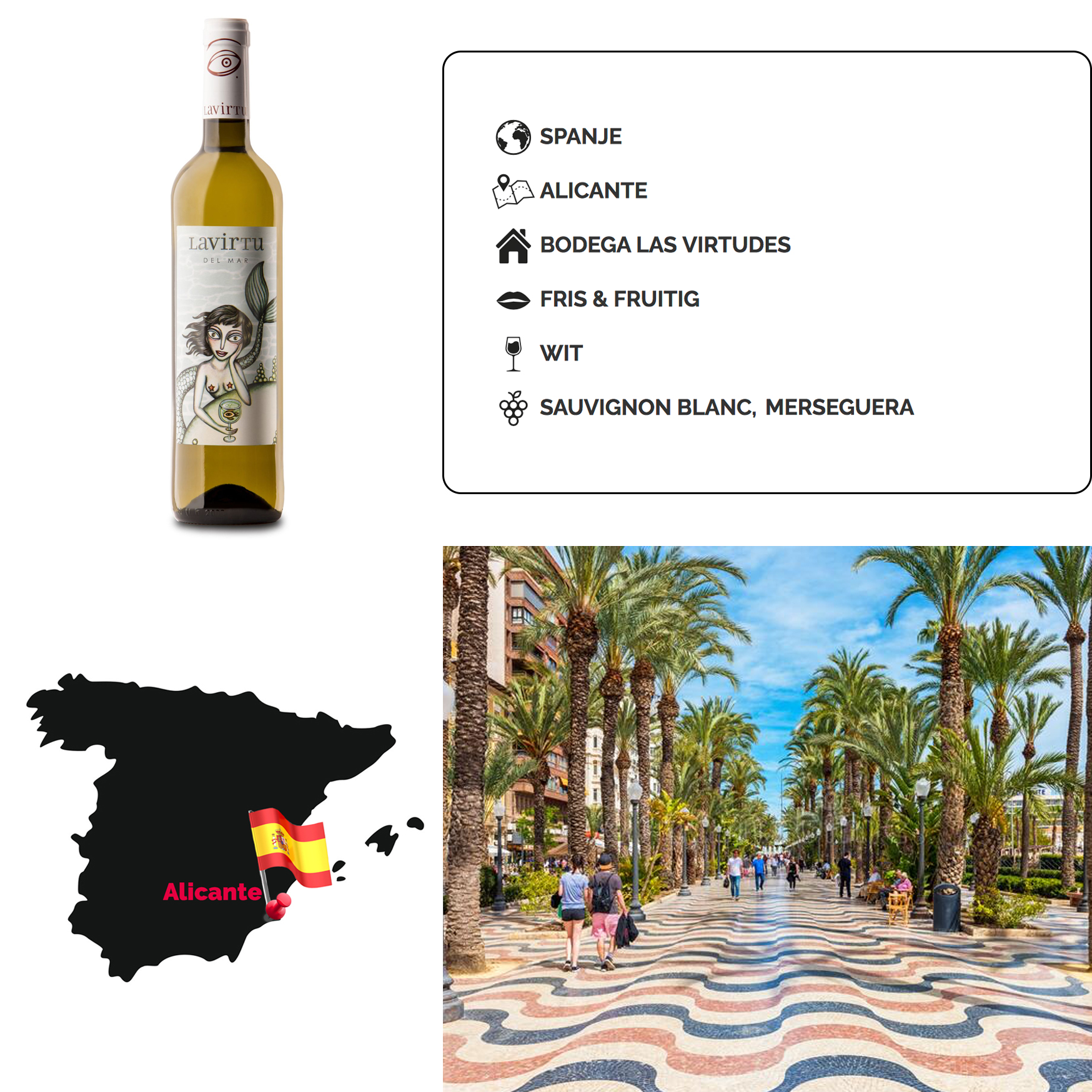 LaVirtudelMar